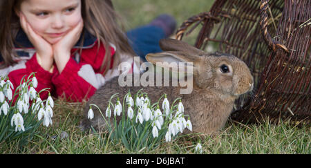 FILE - A file photo dated 09 March 2012 shows girl Amy lying on a maedow next to rabbit 'Hoppel' in Sieversdorf, Germany. Photo: PATRICK PLEUL Stock Photo