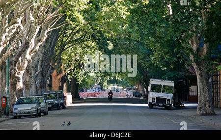 Motorcyclist drives along an avenue in Buenos Aires, Argentina, 16 November 2008. Photo: Jan Woitas Stock Photo