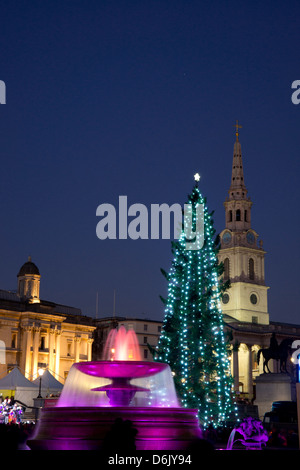 A Christmas tree and fountains lit for a Chirstmas concert in Trafalgar Square, London, England, United Kingdom, Europe Stock Photo