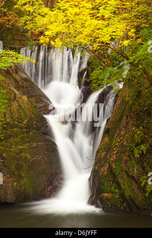 Furnace Falls, Furnace, Dyfed, Wales, United Kingdom, Europe Stock Photo