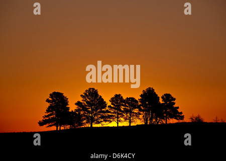 Orange sky at dawn, Custer State Park, South Dakota, United States of America, North America Stock Photo