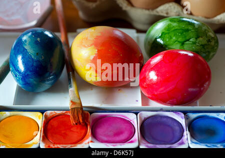 Easter eggs are painted in Sieversdorf, Germany, 02 April 2012. Photo: Patrick Pleul Stock Photo