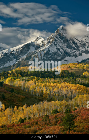 Aspens at Peak Color in the Colorado Rocky Mountains Stock Photo Alamy