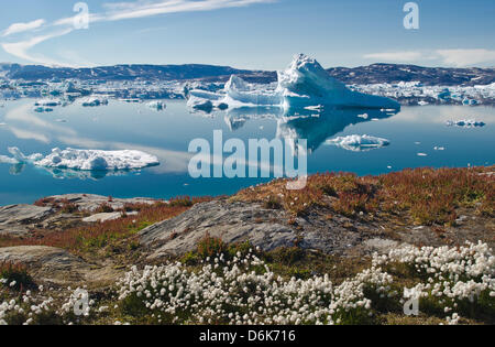 View of icebergs in the Sermilik Fjord near Tiniteqilaaq on Greenland, Denmark, 17 July 2012. Photo: Patrick Pleul Stock Photo