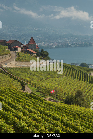 Lavaux terraced vineyards on Lake Geneva, Montreux, Canton Vaud, Switzerland, Europe Stock Photo
