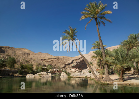 Wadi Bani Khalid, an oasis in the desert, Oman, Middle East Stock Photo