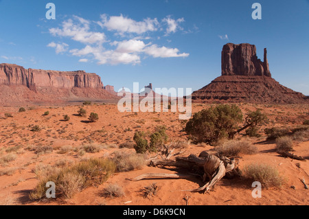 Monument Valley Navajo Tribal Park, Utah, United States of America, North America Stock Photo