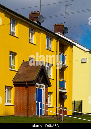 Newly refurbished social housing flats in a suburb of Stafford Staffordshire England UK with brightly painted walls Stock Photo