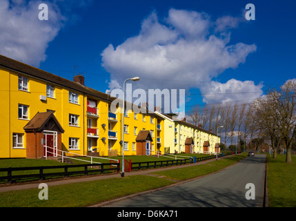 Newly refurbished social housing flats in a suburb of Stafford Staffordshire England UK with brightly painted walls Stock Photo