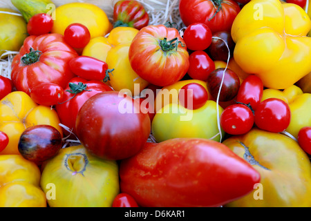 Picturesque Provence colorful market with fresh product Stock Photo