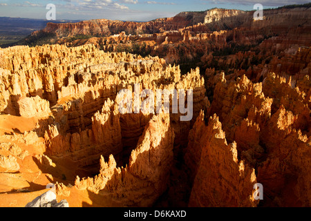 View over Bryce Canyon National Park at sunset, Utah, United States of America, North America Stock Photo