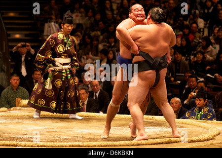 Two sumo wrestlers pushing hard to put their opponent out of the circle, sumo wrestling competition, Tokyo, Japan, Asia Stock Photo