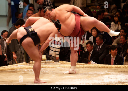 Sumo wrestling competition at the Kokugikan stadium, Tokyo, Japan, Asia Stock Photo