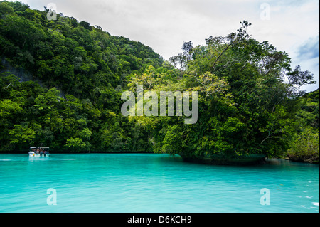 Turquoise waters in the Rock islands, Palau, Central Pacific, Pacific Stock Photo
