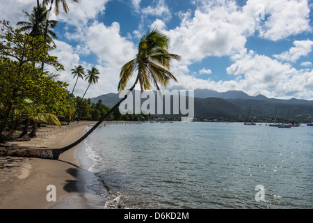 Beach in Prince Rupert Bay, Dominica, West Indies, Caribbean, Central America Stock Photo