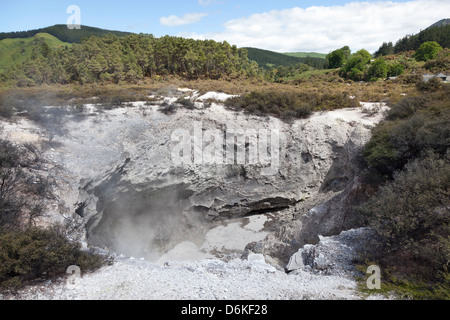 Wai-O-Tapu Geothermal Reserve Rotorua, New Zealand Stock Photo