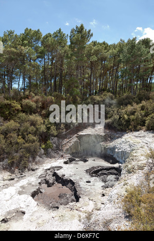 Wai-O-Tapu Geothermal Reserve Rotorua, New Zealand Stock Photo