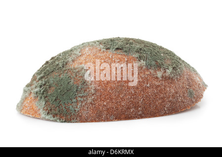 Mouldy bread, isolated on a white background Stock Photo