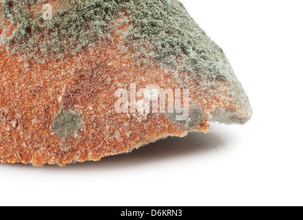 Mouldy bread, isolated on a white background Stock Photo