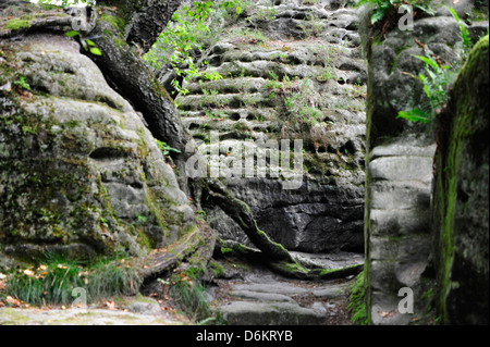 Malerweg im Elbsandsteingebirge, Sächsische Schweiz, Germany. Stock Photo