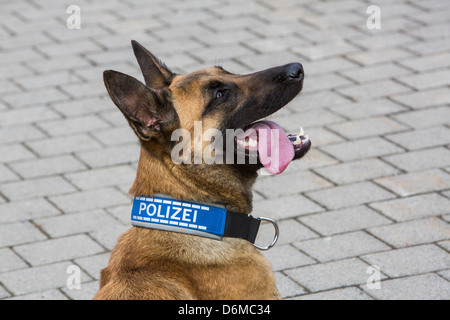 k9 unit collar