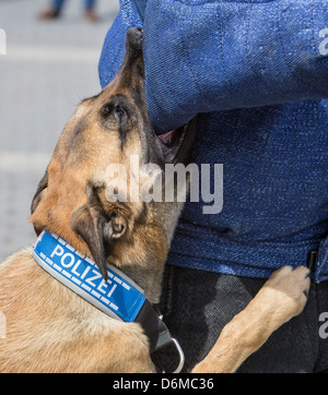k9 unit collar