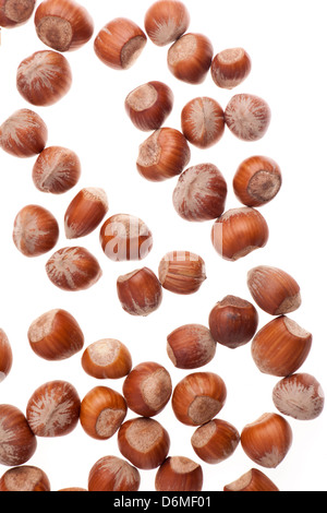 Hazelnuts on white background Stock Photo