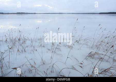 Water on the ice of Lake Saadjärv in winter. Estonia, Europe Stock Photo