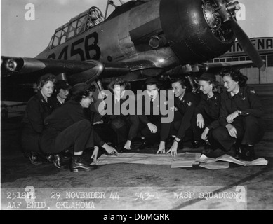 The Virginia Streeter Collection focuses on the Women Airforce Service ...