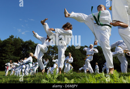 Emstal, Germany, children in a Taekwondo course in nature Stock Photo