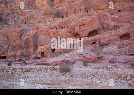 Lost first century city of Petra, Jordan, carved out of red stone, and a modern day wonder and tourist destination and adventure Stock Photo