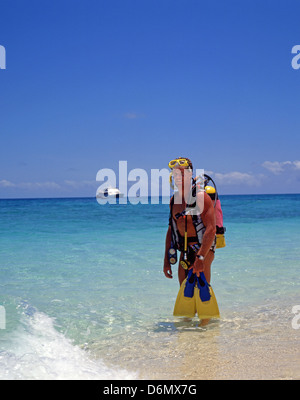 Young male scuba diver on tropical cay, Great Barrier Reef, Queensland, Australia Stock Photo