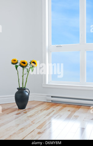 Sunflowers in a vase, decorating an empty room with big window. Stock Photo