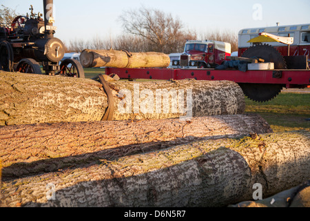 Working farm machinery Rack Saw and wood ready for use at the Riverside Steam & Vintage Vehicle Rally 2013 Stock Photo