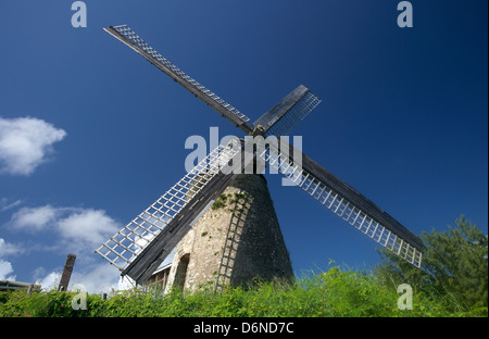 Morgan Lewis, Barbados, the Morgan Lewis Windmill is an old sugar mill Stock Photo