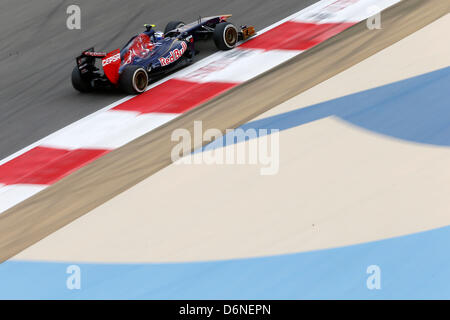 Manam, Bahrain. 20th April, 2013. Motorsports: FIA Formula One World Championship 2013, Grand Prix of Bahrain,  #19 Daniel Ricciardo (AUS, Scuderia Toro Rosso), Stock Photo