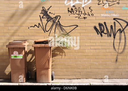 2 wheelie bins, roll-out containers, organic waste collection bins on pavement, filled with palm branch, brick wall graffiti Stock Photo
