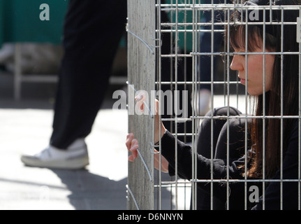 Activists enclosed in a cage are seen during a street performance Stock Photo