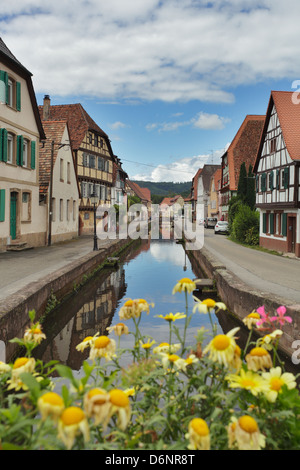 Wissembourg, France, Fachwerkhaeuser and the river Lauter in Wissembourg Stock Photo