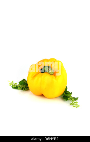 Bell Peppers On A White Background Stock Photo - Alamy