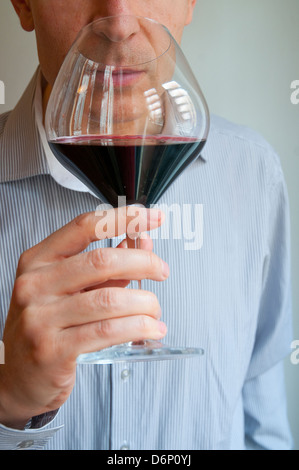 Wine taster. Close view. Stock Photo