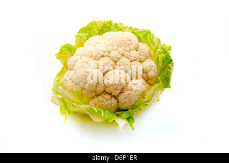 White cauliflower on a white background Stock Photo