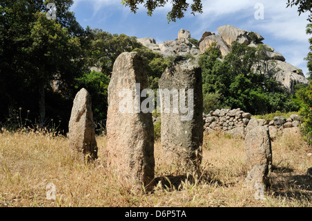 Rinaju Alignment of Neolithic menhirs erected around 6500 years ago at Cauria, Corsica, France, Europe Stock Photo