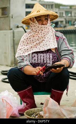 Woman dressed in a Chinese hat cleaning fish, Taiwan, Penghu, Chimei Stock Photo