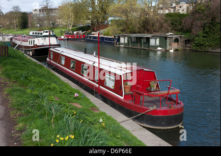 A red narrowboat moored on the bank of The River Thames next to the ...