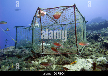 Fishing cage in Dominica, West Indies, Caribbean, Central America Stock Photo