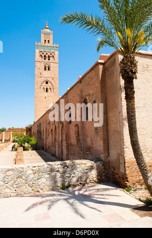 Katoubia Mosque and palm tree in Djemaa El Fna, the famous square in Marrakech, Morocco, North Africa, Africa Stock Photo