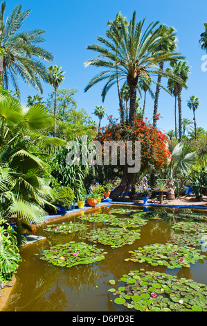 Pond and palm tree, Majorelle Gardens (Gardens of Yves Saint-Laurent), Marrakech, Morocco, North Africa, Africa Stock Photo