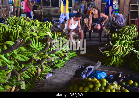 Bananas on sale in the Amazon producers market, Iquitos, Peru Stock Photo