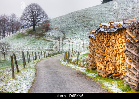 Winding road and wood pile near St. Trudpert Monastery, Munstertal, Black Forest, Baden-Wurttemberg, Germany, Europe Stock Photo